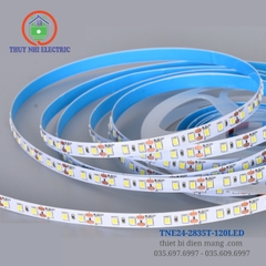 Led Dây 24V Trong Nhà TNE24-2835T-120LED