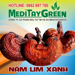 NẤM LIM XANH