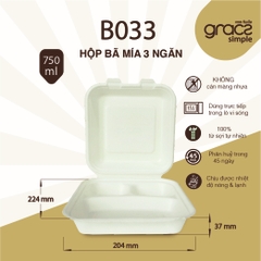 Hộp cơm 3 ngăn 750ml (5 hộp / túi)