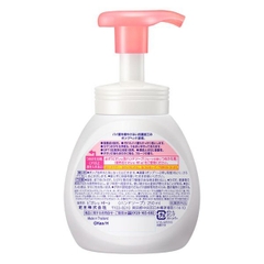 NƯỚC RỬA TAY TẠO BỌT BIORE KAO 250ML ĐỦ MÀU