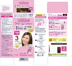 NHUỘM TÓC PHỦ BẠC CHO NAM NỮ KAO BLAUNE DẠNG KEM MÀU SỐ 3 NÂU HẠT DẺ NHẠT - 4901301036278