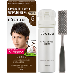 NHUỘM TÓC PHỦ BẠC CHO NAM LÚCIDO DẠNG ẤN ĐỦ MÀU