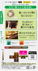 KEM NHUỘM TÓC KAO BLAUNE FRAGRANCE & GLOSS COLOR CREAM MÀU 6 HẠT DẺ SẪM - 4901301283733