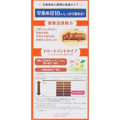 NHUỘM TÓC PHỦ BẠC CHO NAM NỮ HOYU BIGEN DẠNG SỮA MÀU 6 NÂU HẠT DẺ ĐẬM - 4987205041372