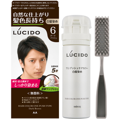 NHUỘM TÓC PHỦ BẠC CHO NAM LÚCIDO DẠNG ẤN ĐỦ MÀU