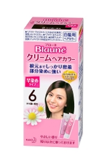 NHUỘM TÓC PHỦ BẠC CHO NAM NỮ KAO BLAUNE ĐỦ MÀU