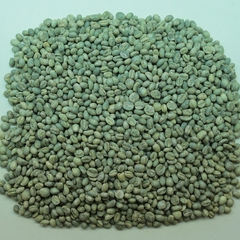 Culi Arabica