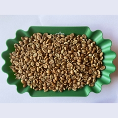 Robusta Honey