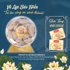 Bạch Nguyên Yến (Tổ Yến Thô Thượng Hạng) 100gr