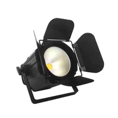 Đèn rọi mặt tiền COB PAR 200 LCC-MT200