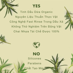 Detox Tóc Dầu Bết Dầu Xả  Love Beauty And Planet
