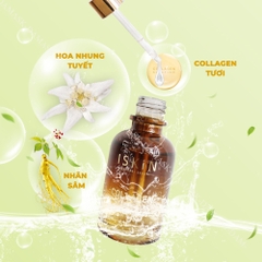 SERUM DƯỠNG TRẮNG, CẤP ẨM VÀ TRẺ HÓA DA ISKIN - COLLAGEN YOUTH AMPOULE HÀN QUỐC
