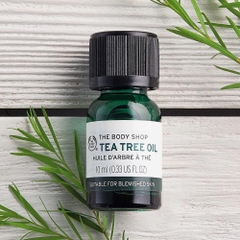 Serum Trị Mụn The Body Shop Anti-Imperfection Daily Solution