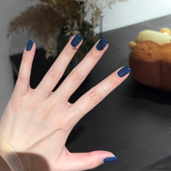 BST Sơn Gel Lạnh DAMASK 