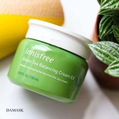 Kem Dưỡng Da Dành Cho Da Mụn Innisfree Green Tea Fresh Cream