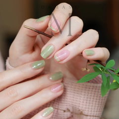 BST Sơn Gel Lạnh DAMASK 