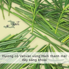Detox Tóc Dầu Bết Dầu Xả  Love Beauty And Planet