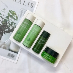 Bộ Dưỡng Da Trà Xanh Innisfree Green Tea Special Kit EX 2019 Edition (4 items)