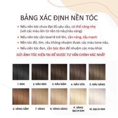 Combo Thuốc Tẩy Tóc Mạnh (Cho Nền Tóc Level 9-10)