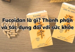 Fucoidan là gì? Thành phần và tác dụng đối với sức khỏe