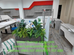 Giải pháp xanh, tăng hiệu quả sản xuất tại văn phòng công ty - Nhật Minh decor sẽ mang thiên nhiên vào ngôi nhà bạn hiệu quả nhất