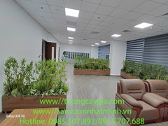 Thi công, lắp đặt bục cây tre trúc giá tốt nhất thị trường