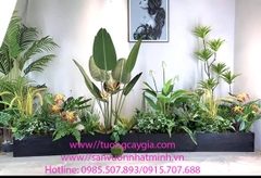 Những bồn cây chuối cảnh, hoa thiên điểu xinh xắn tại Tường cây giả Nhật Minh