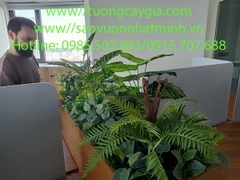 Decor bục cây nhân tạo tại Công ty KOSATEC số 68 Phan Đăng Lưu - Phú Nhuận - Tp HCM