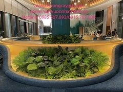 Thi công lắp đặt bục cây xanh tại văn phòng giao dịch BĐS, Bà Rịa Vũng Tàu