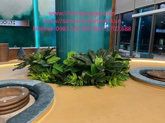 Thi công lắp đặt bục cây xanh tại văn phòng giao dịch BĐS, Bà Rịa Vũng Tàu