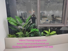 Thi công cây giả trong bồn tại Công ty bảo hiểm Manulife - Tp Vinh, Nghệ An