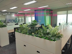 Trang trí, thi công lắp đặt cây xanh tại Tập đoàn Bosch tòa nhà Capital Place số 29 Liễu Giai - Ba Đinh - Hà Nội