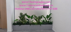 Lắp đặt tiểu cảnh, bục cây xanh tại Bệnh viện Răng hàm mặt Tp Bến Tre, tỉnh Bến Tre