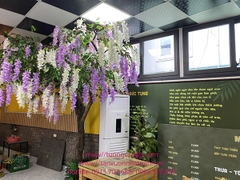 Lắp đặt cây hoa bồ công anh tại nhà hàng Lẩu Riêu Cua - 112 Võ Chí Công