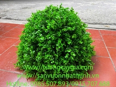 Decor cây ngâu giả cho việc trang trí tiểu cảnh sân vườn