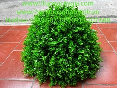 Decor cây ngâu giả cho việc trang trí tiểu cảnh sân vườn