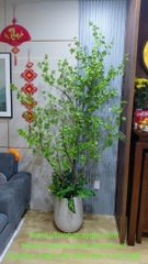 Cung cấp chậu Thạch Nam nhân tạo bền, đẹp, giá tốt nhất thị trường