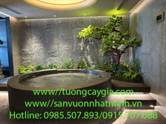 Thi công cây Tùng La Hán bằng chất liệu nhân tạo tại 56 Quảng An, Tây Hồ, Hà Nội