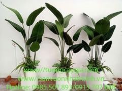 Cung cấp chậu cây cảnh giả cho nhà hàng cà phê 80 Võ Văn Tần, phường 6, quận 3, TP Hồ Chí Minh