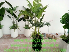 Cung cấp chậu cây cảnh giả cho nhà hàng cà phê 80 Võ Văn Tần, phường 6, quận 3, TP Hồ Chí Minh