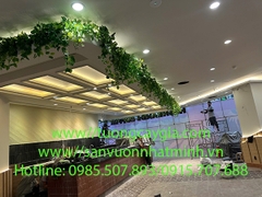 Decor dây leo rủ tại Highlands Coffee - Lotte Mark Tp Vũng Tàu - Bà Rịa Vũng Tàu