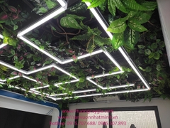 Trang trí trần nhà bằng dây leo giả và đèn led tại Trần Duy Hưng - Hà Nội
