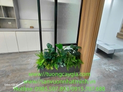 Giải pháp xanh, tăng hiệu quả sản xuất tại văn phòng công ty - Nhật Minh decor sẽ mang thiên nhiên vào ngôi nhà bạn hiệu quả nhất
