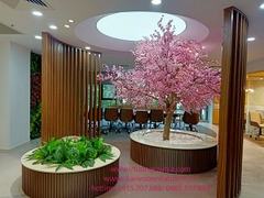 Thi công lắp đặt cây anh đào tại văn phòng công ty quận Tân Bình - Tp HCM