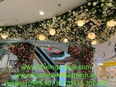 Thi công, lắp đặt hoa hồng leo trại Trung tâm Thương mại Vincom Mega Mall Vũ Yên - Hải Phòng