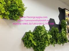 Decor khung rêu gắn tường tại văn phòng Công ty BIG số 83 Trung Kính, Cầu Giấy, Hà Nội