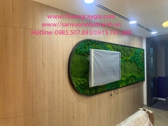 Một số mẫu tường rêu tuần lộc, rêu bảo tồn,... sáng tạo độc lạ, bền đẹp theo thời gian