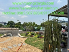 Thi công sân vườn, tiểu cảnh tại nhà hàng Nam Trực - Nam Định