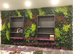 Thi công vách tường cây giả tại văn phòng số 47 Nguyễn Tuân, Hà Nội