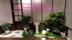 Trang trí tiểu cảnh cho nhà phố tại thị xã Phước Long - Bình Phước